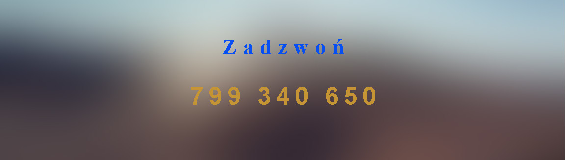 Napędy do bram Cieszyn - kontakt